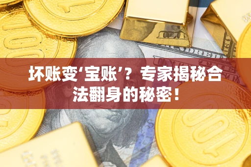 武汉坏账变‘宝账’？专家揭秘合法翻身的秘密！