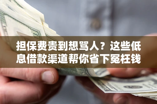 武汉担保费贵到想骂人？这些低息借款渠道帮你省下冤枉钱