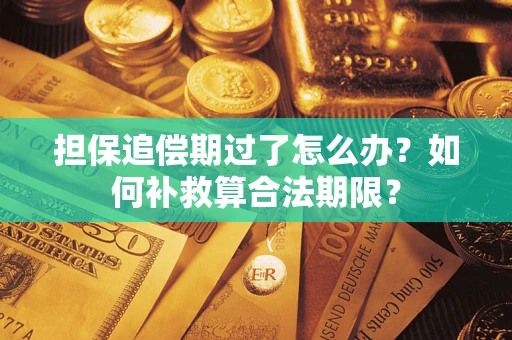 武汉担保追偿期过了怎么办？如何补救算合法期限？