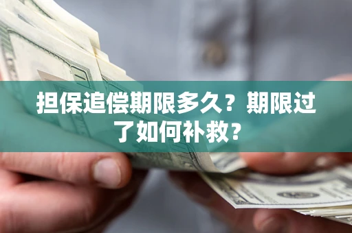 武汉担保追偿期限多久？期限过了如何补救？