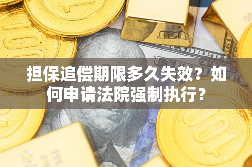 武汉担保追偿期限多久失效？如何申请法院强制执行？