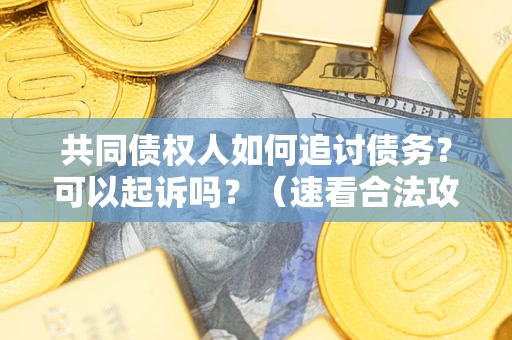 武汉共同债权人如何追讨债务？可以起诉吗？（速看合法攻略）