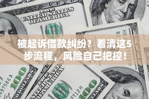 武汉被起诉借款纠纷？看清这5步流程，风险自己把控！